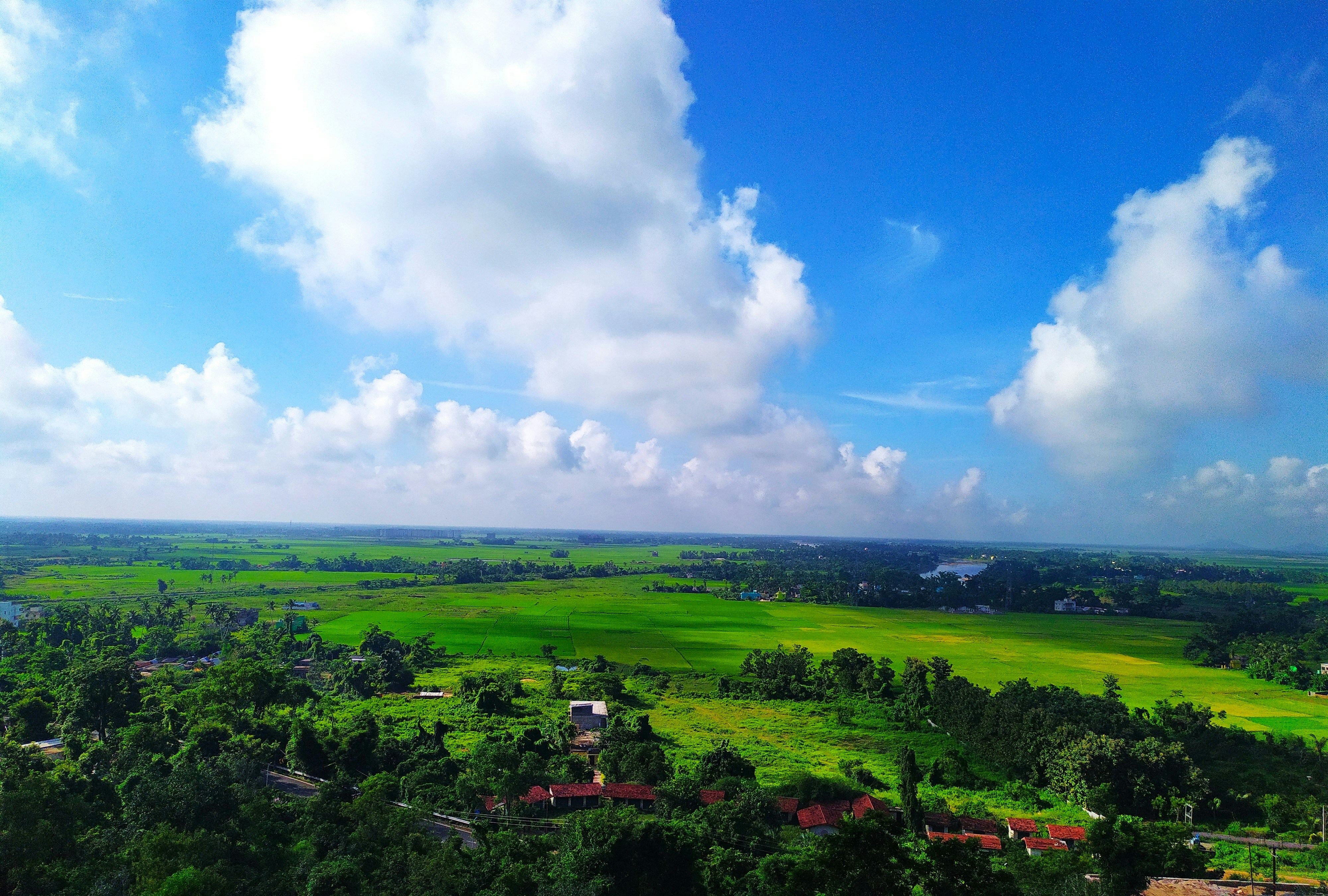 Photo by soumyajit96