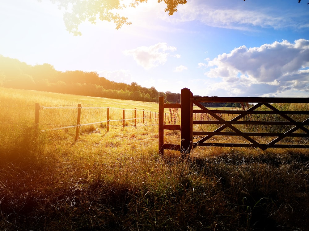 a wooden fence in a grassy field with a tree in the background