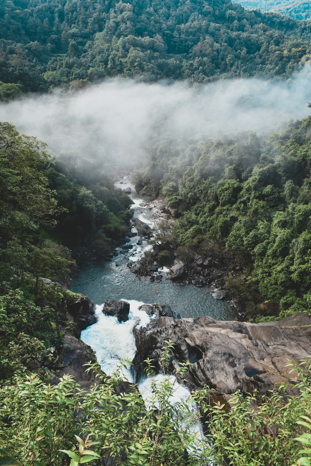 a river running through a lush green forest