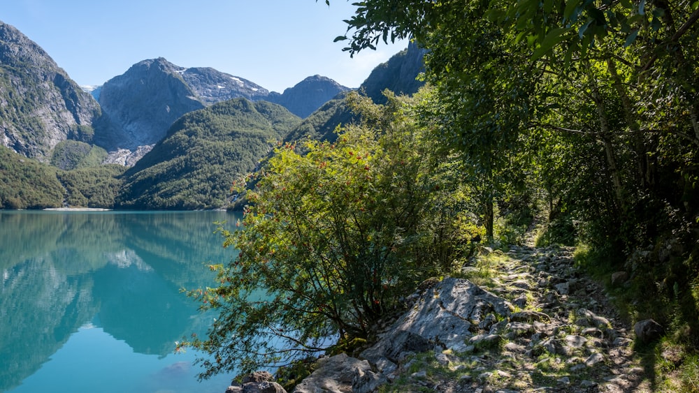 a body of water surrounded by mountains and trees