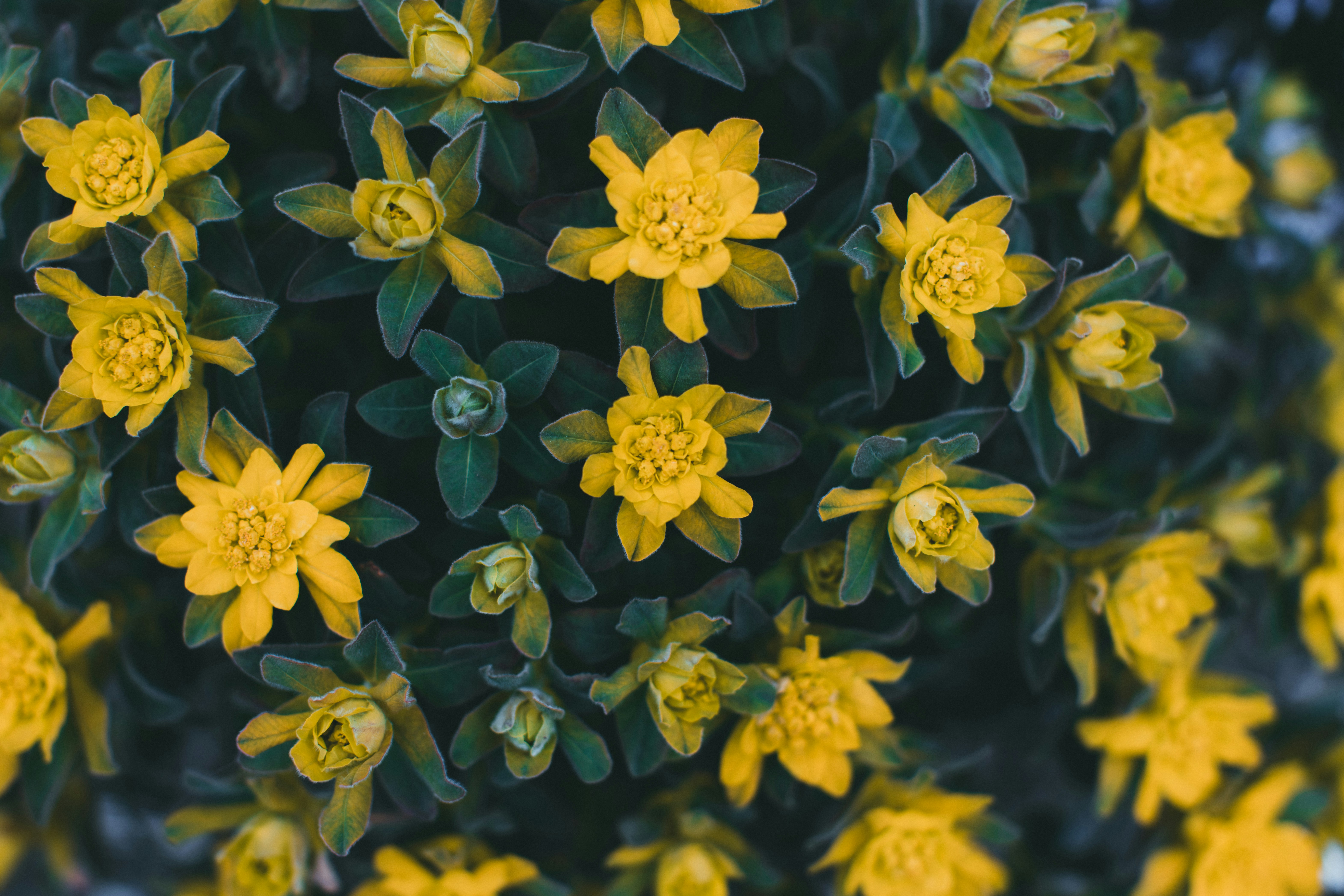 Photo by theshuttervision