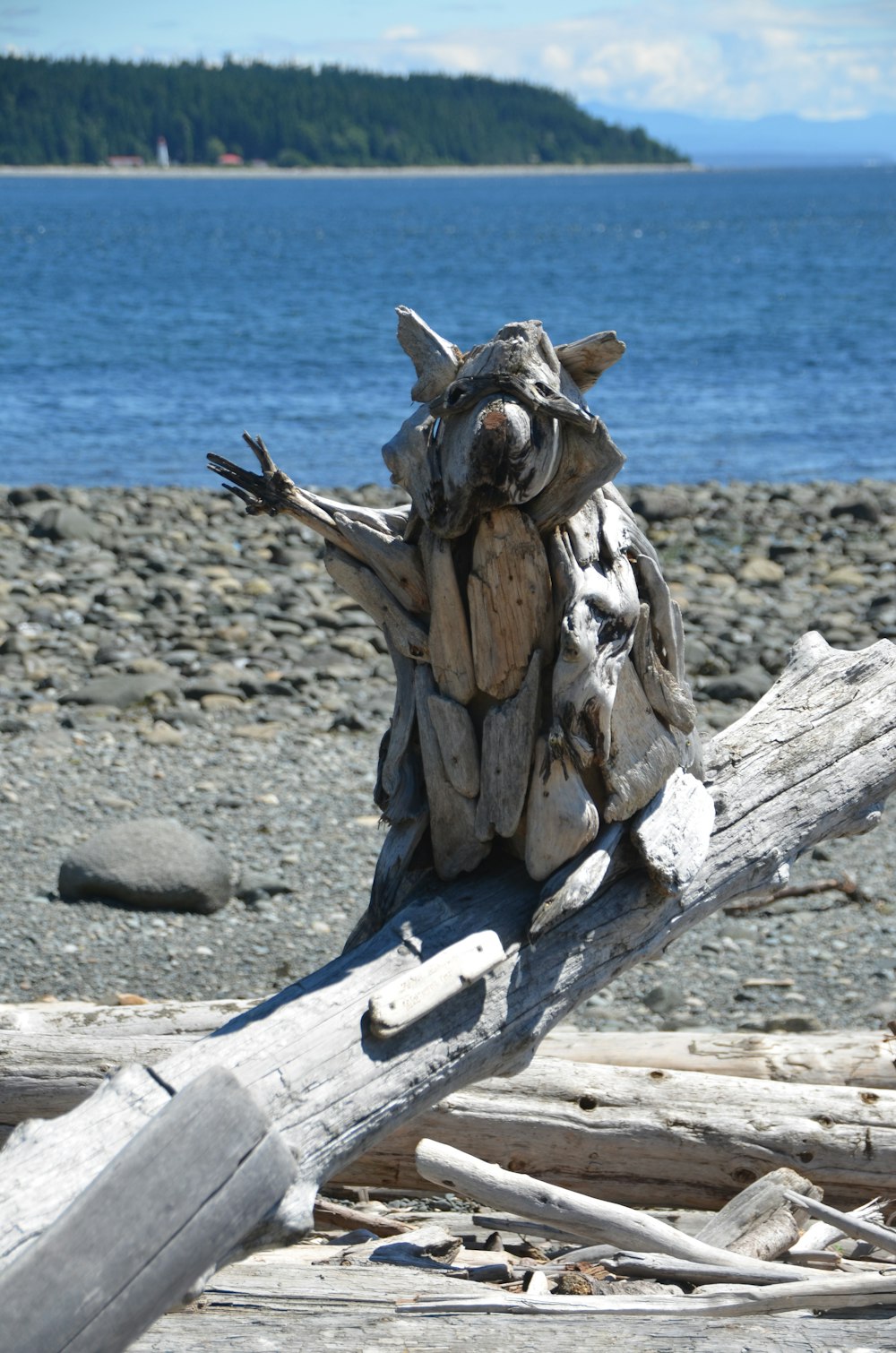 a piece of drift wood sitting on top of a beach