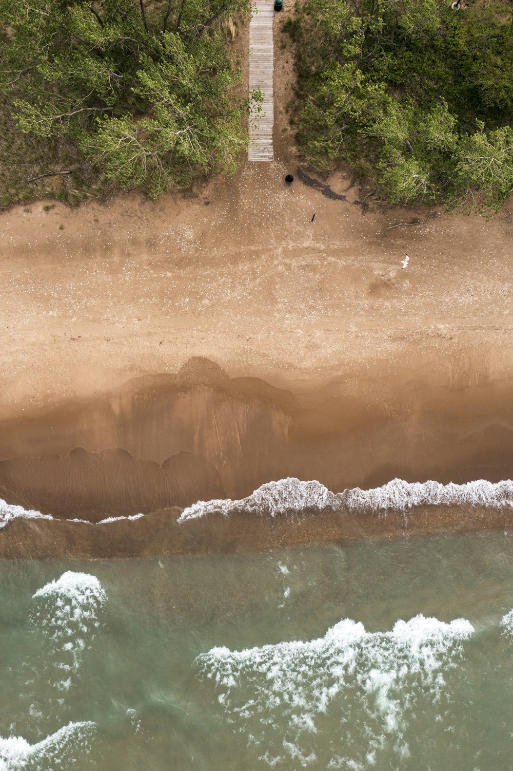 an aerial view of a sandy beach and ocean