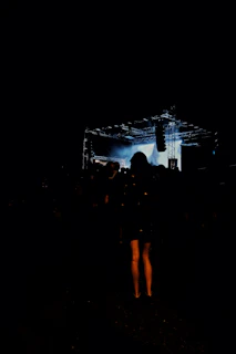 Dimly lit stage with nocturna performing, shadows casting over the crowd.