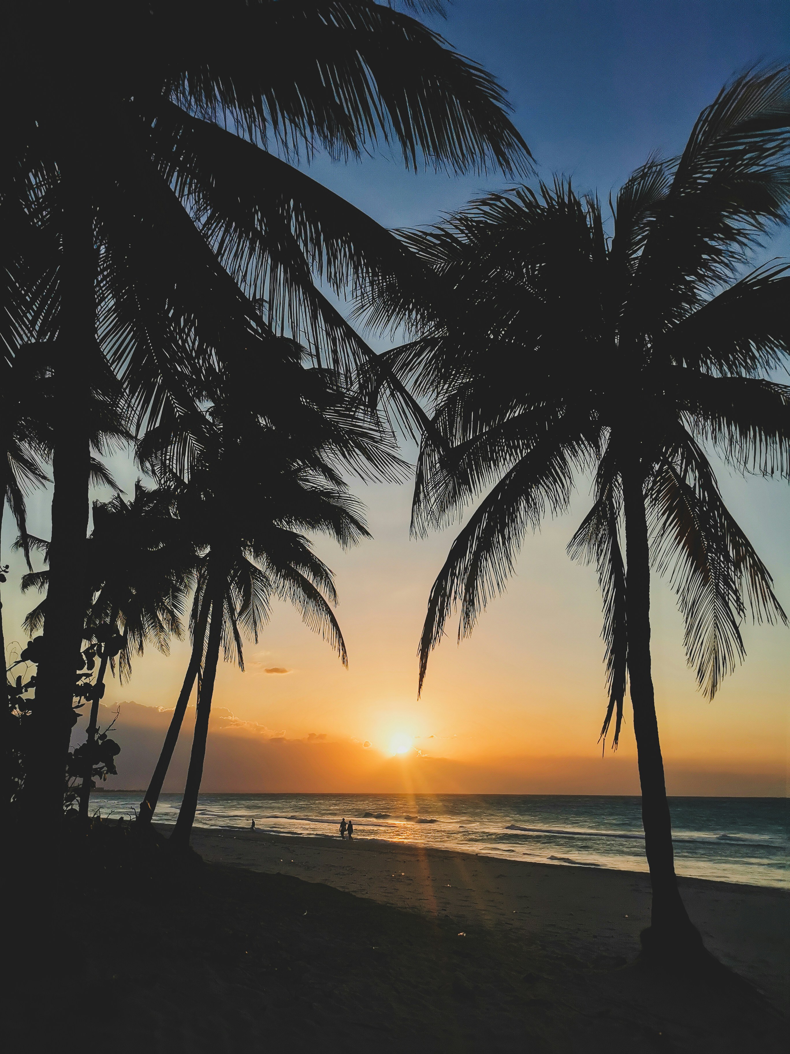 Photo by blackprojection