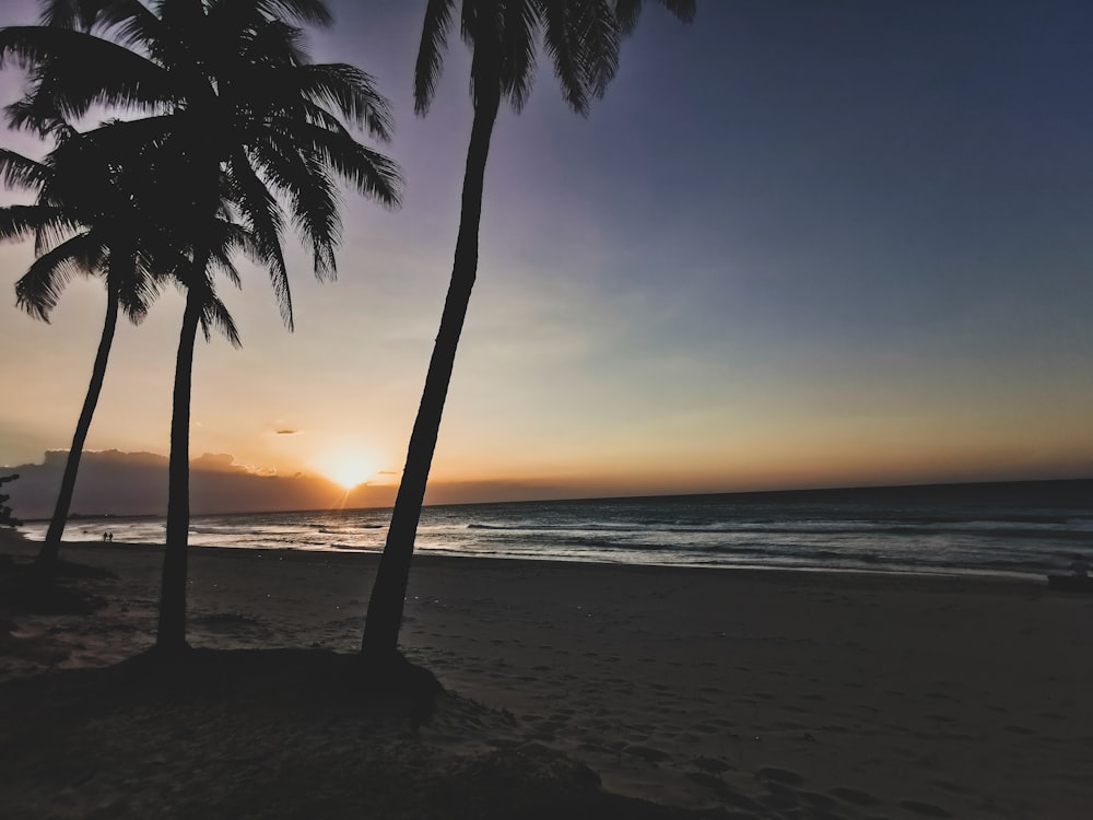 the sun is setting on the beach with palm trees