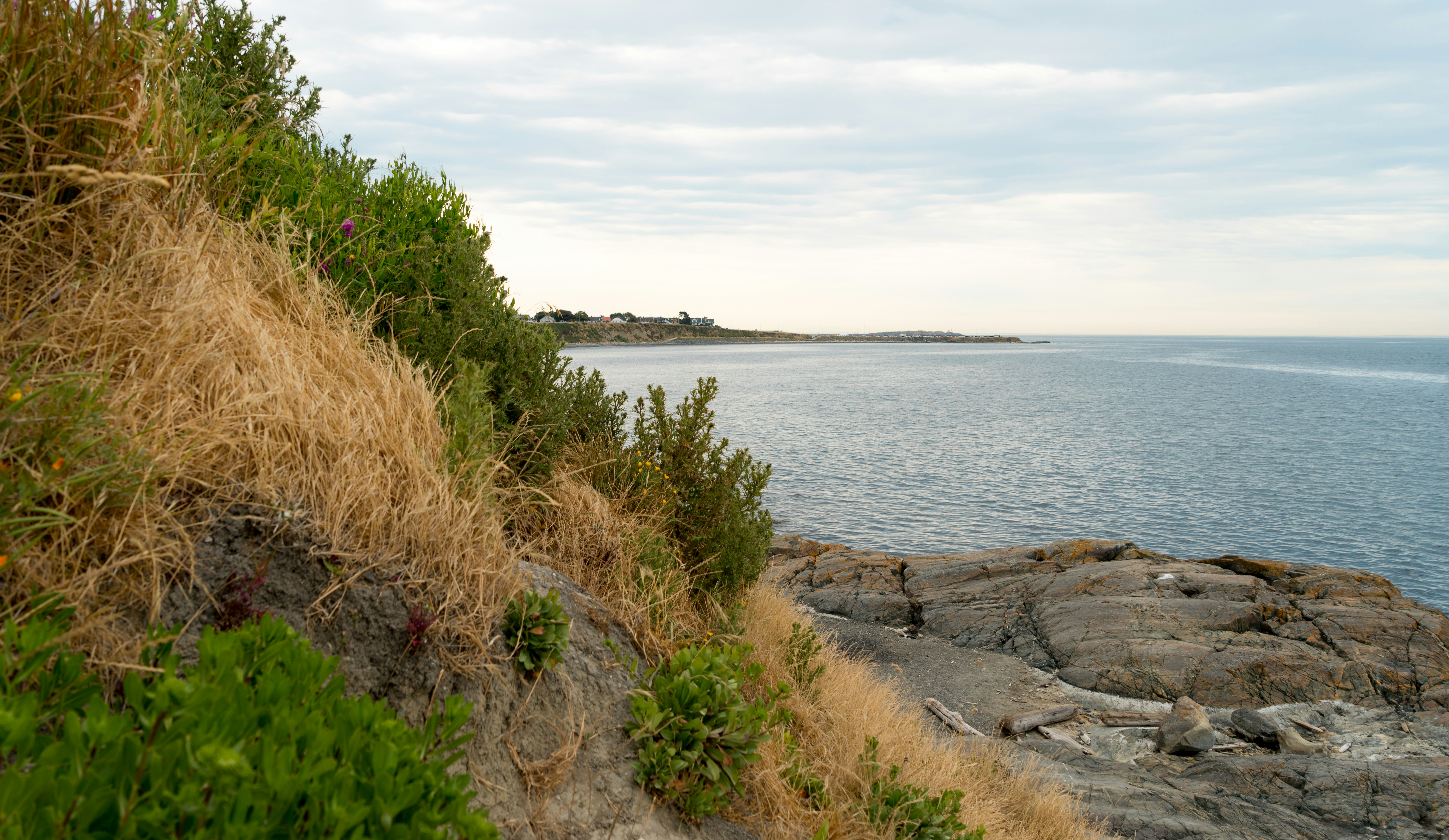 Photo by baronalloway