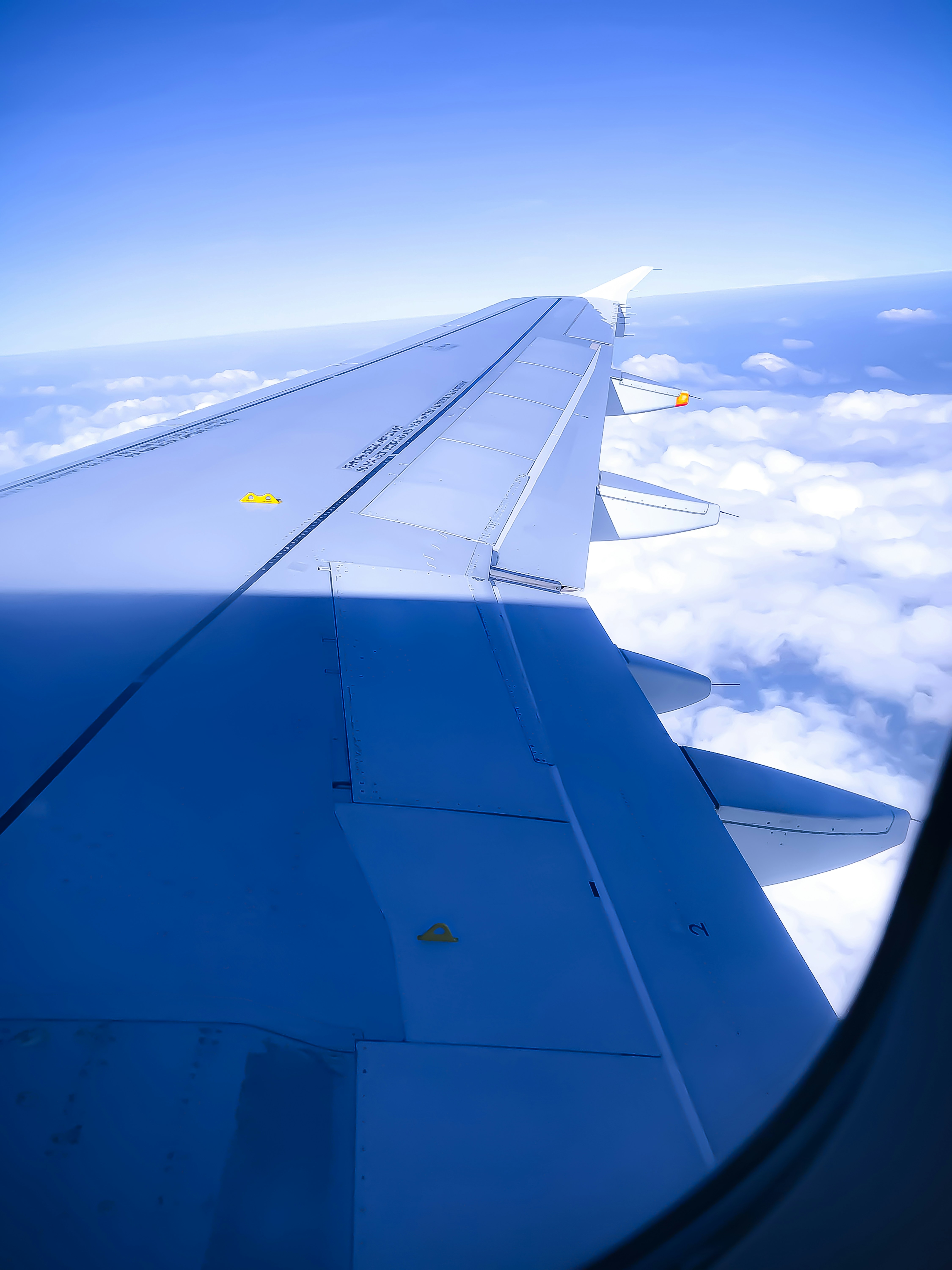 Photo by theprophotographer