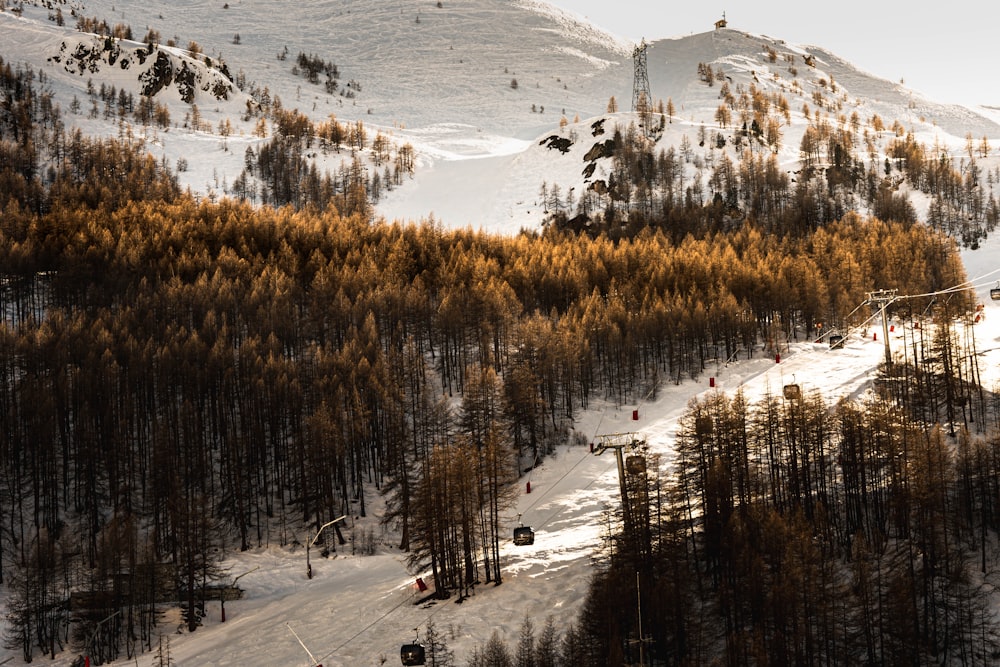 a ski slope covered in lots of snow