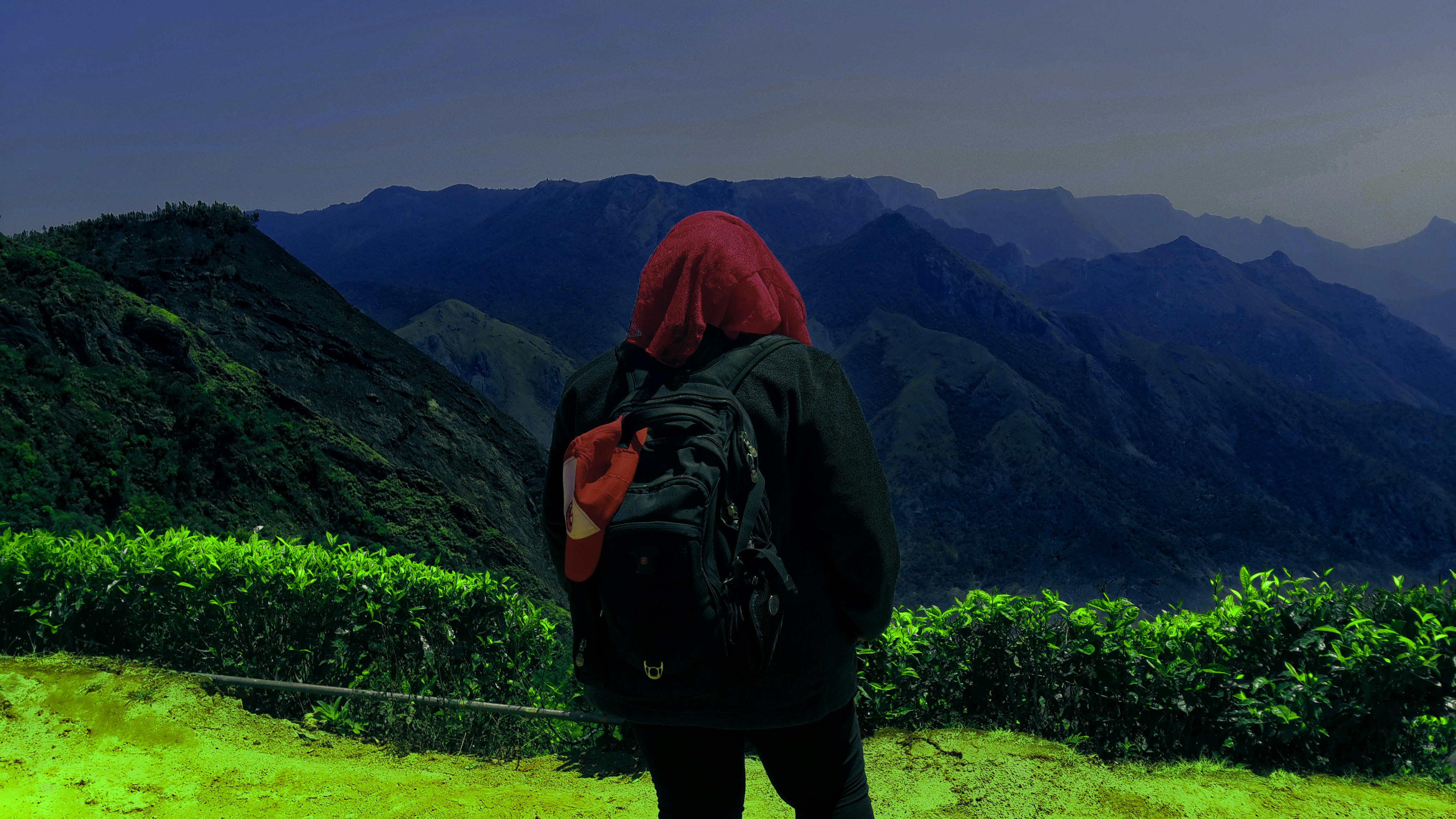 Expat Guide to Living in Aryanah (2026)