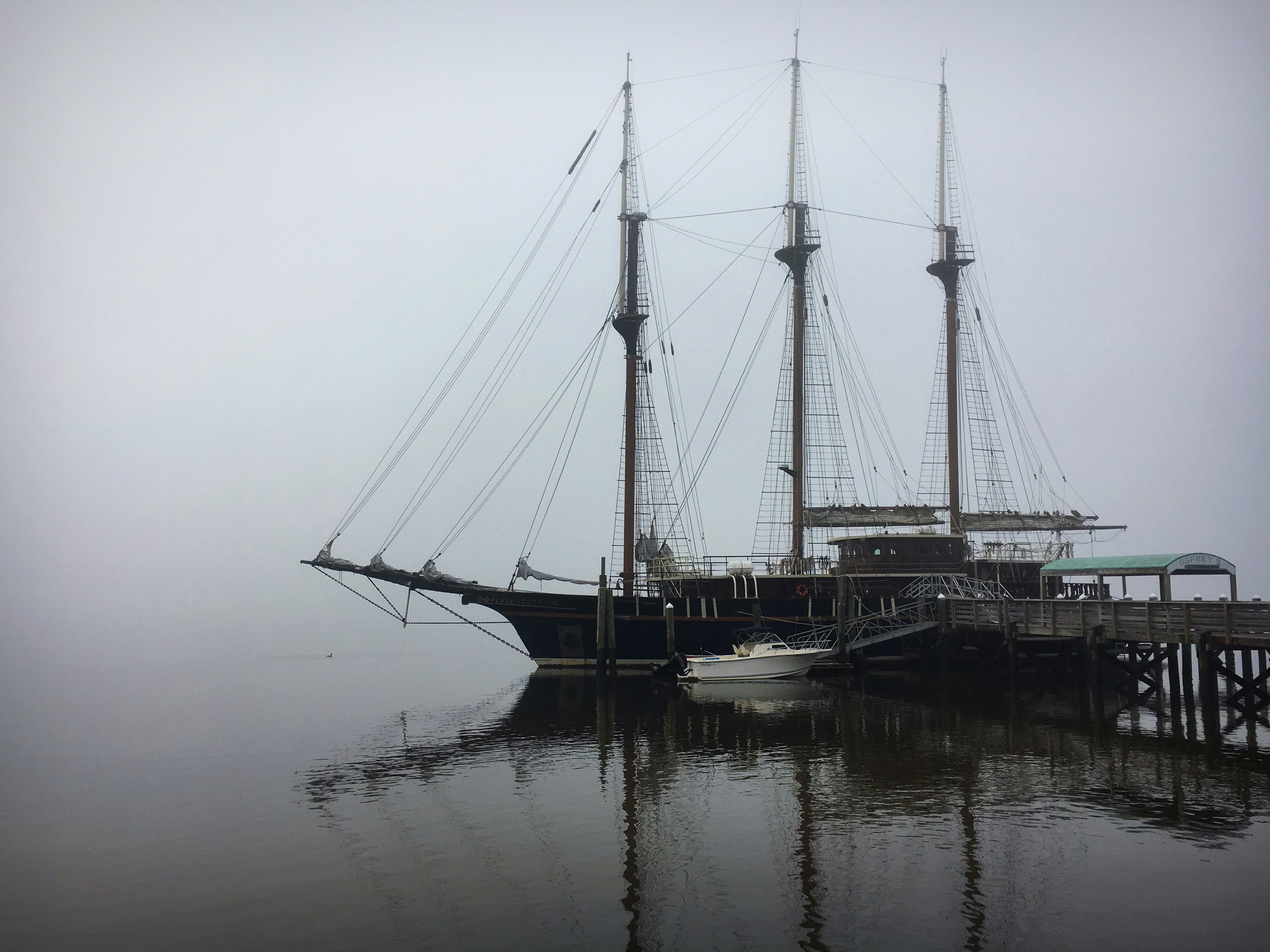 Cumberland Island National Seashore