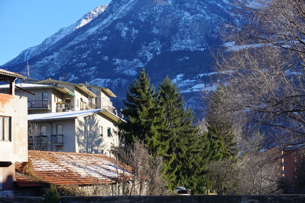 a snow covered mountain in the background with a building in the foreground