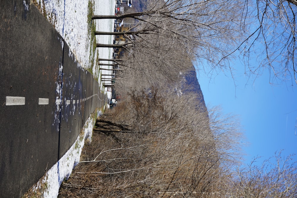 a road with a line of trees on both sides of it