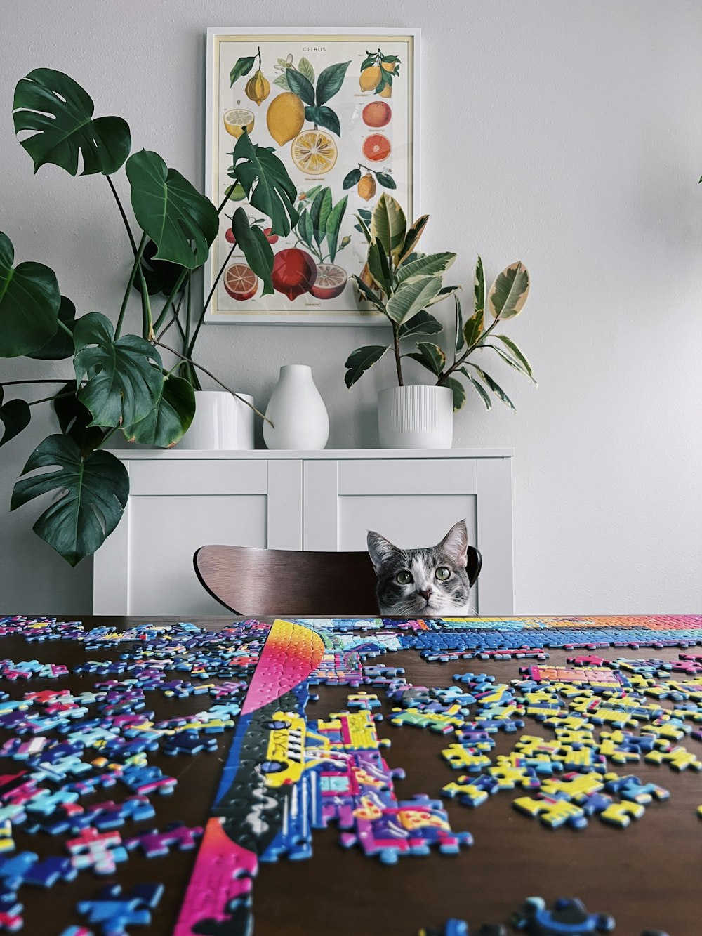 a cat sitting on top of a wooden table