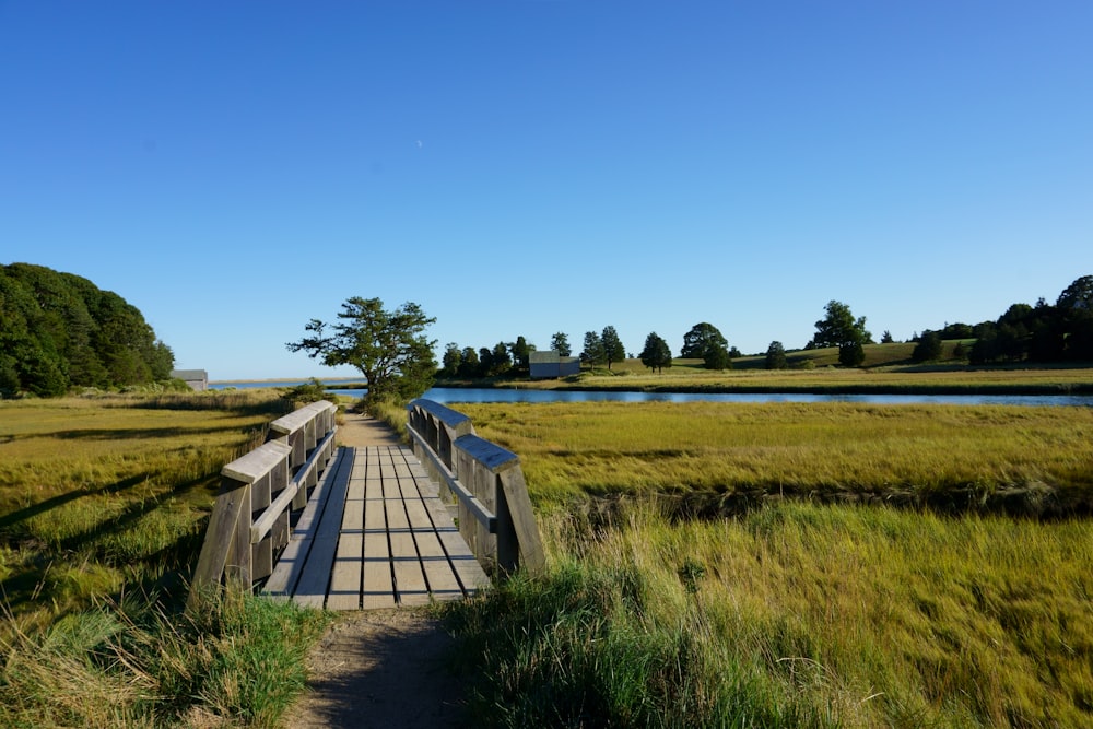 a wooden bridge over a grassy river