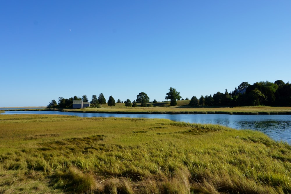 a grassy field next to a body of water