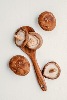 a group of mushrooms sitting on top of a table
