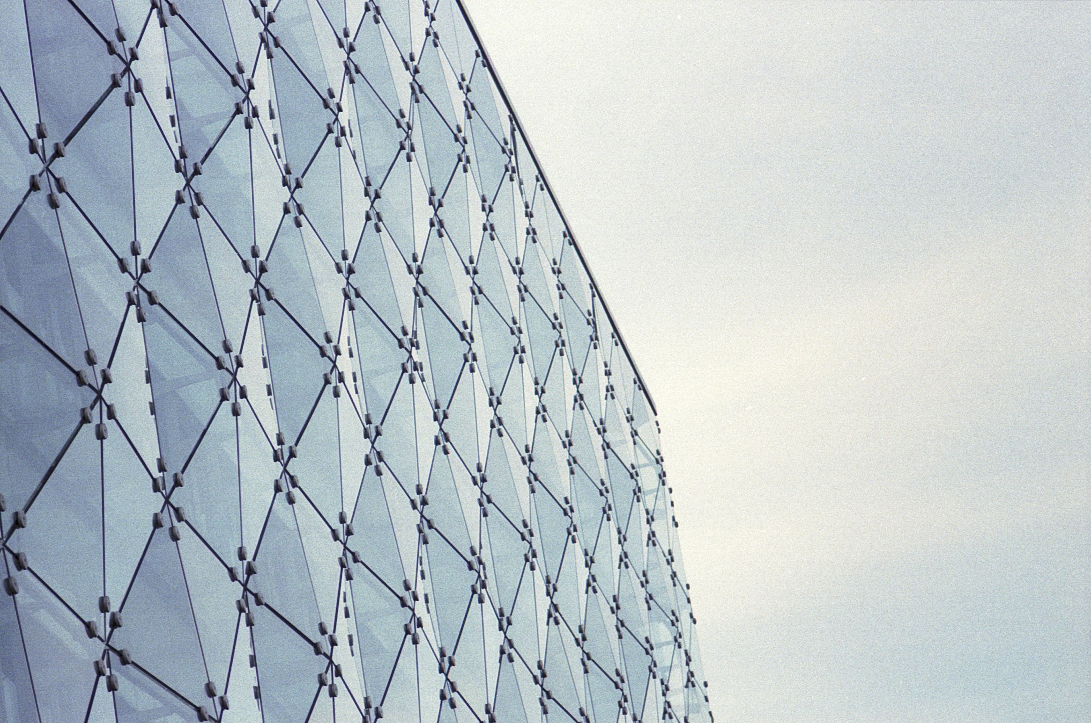 Photo by brutalgeometric