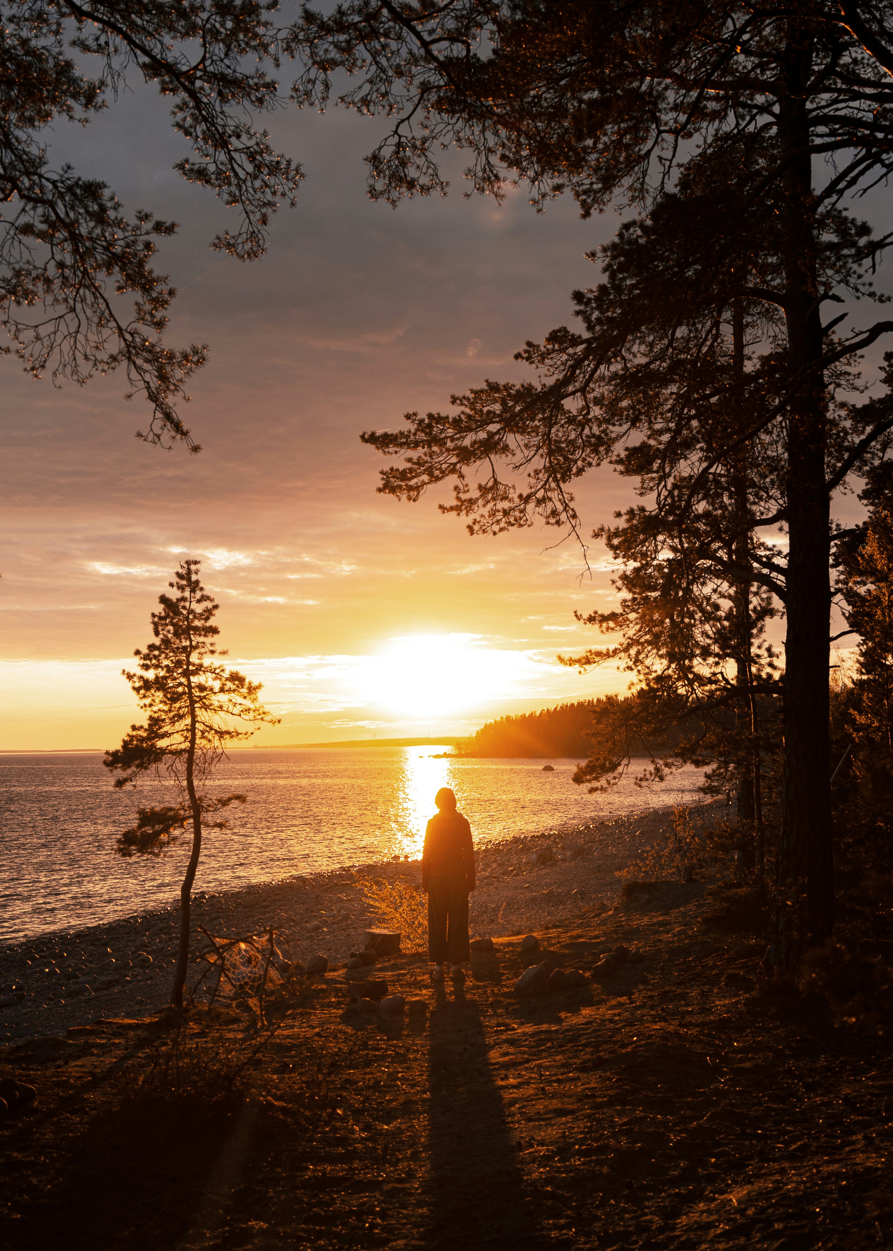 a person standing on a beach at sunset