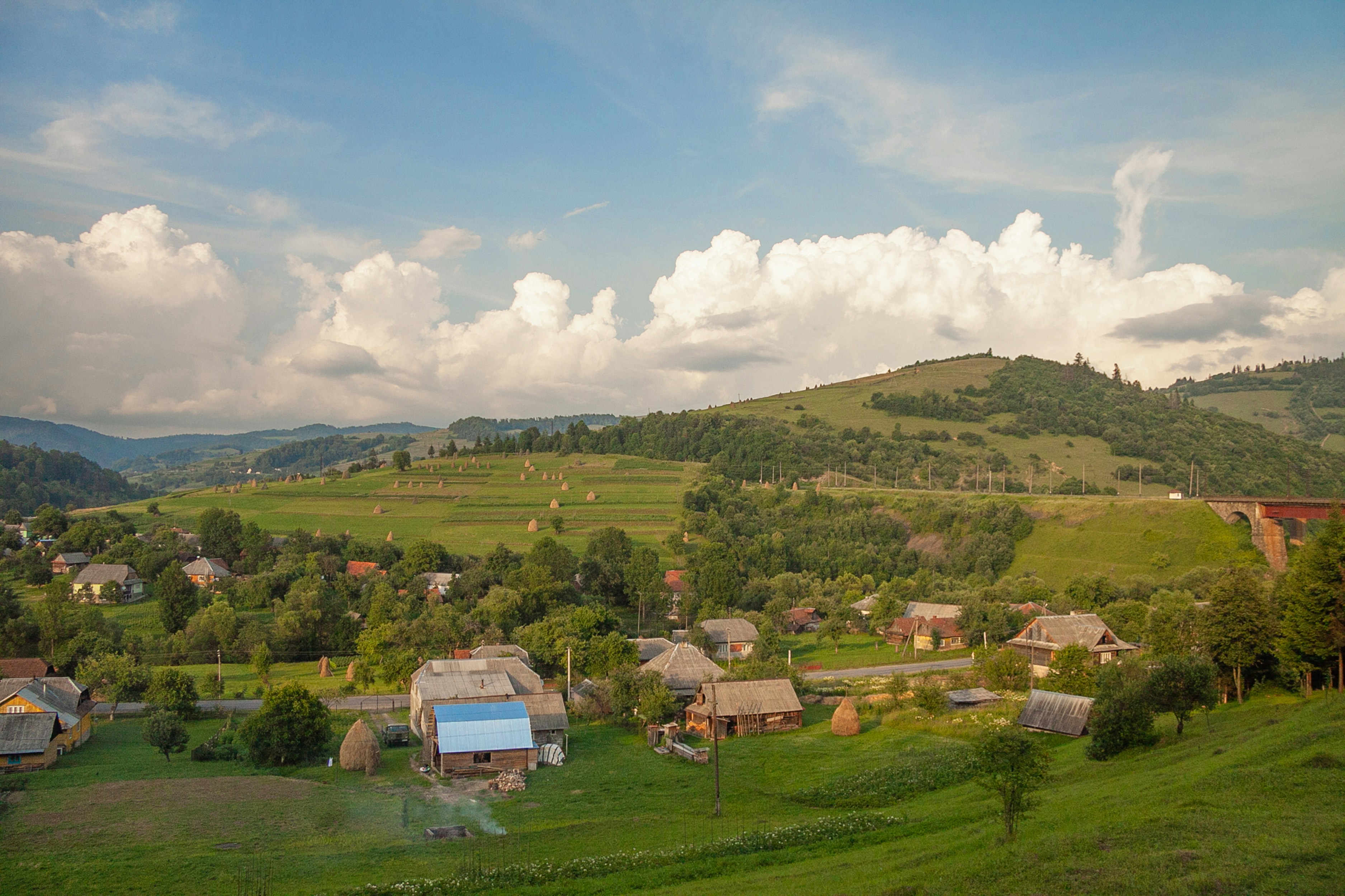 Photo by zephirbrush