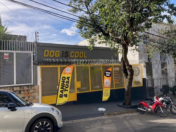 A storefront with the name 'Dog is Cool' prominently displayed in yellow letters. The entrance is secured with a mesh gate and features two bright orange banners advertising services such as 'Banho & Tosa.' A tree stands on the sidewalk next to the entrance. A white car and two red motorcycles are parked on the street in front of the building, which is surrounded by a fence with barbed wire at the top.
