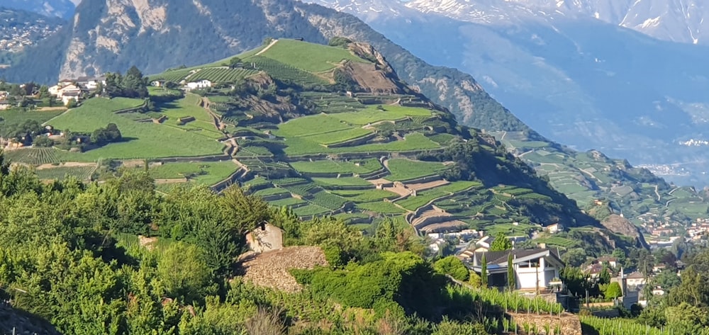 a view of a mountain with a village in the foreground