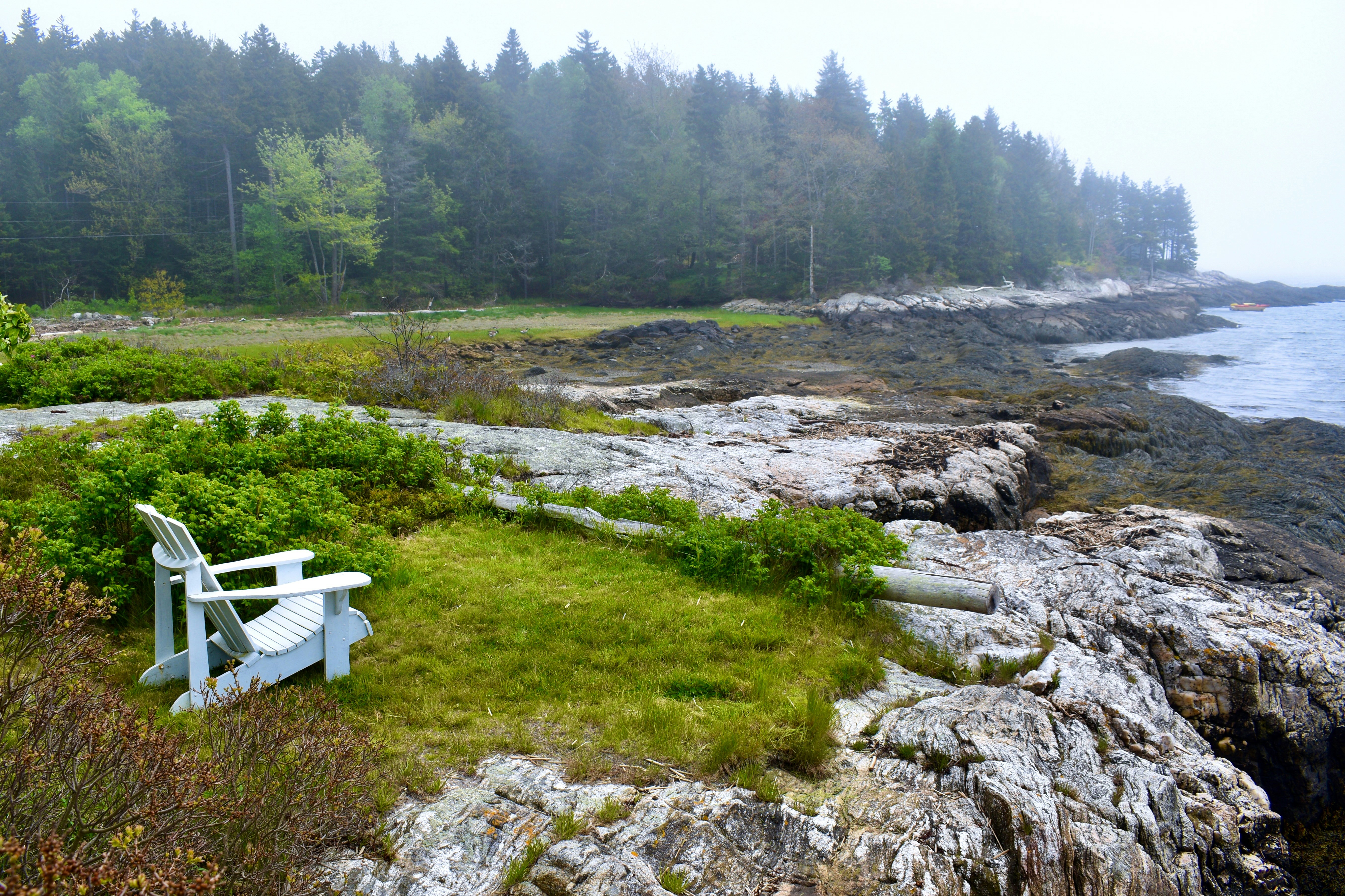 a white bench sitting on top of a lush green field, Looking out.