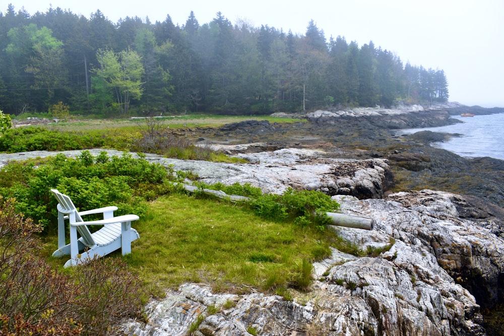 a white bench sitting on top of a lush green field