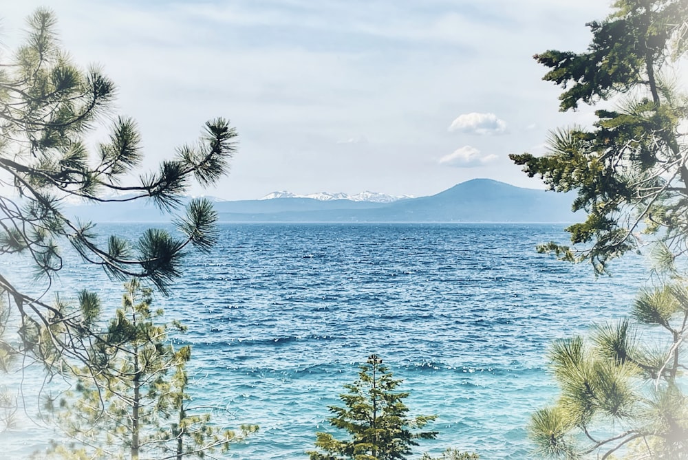 a view of a body of water through some trees