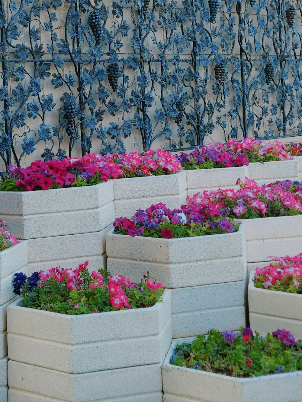 um bando de plantadores que têm flores neles