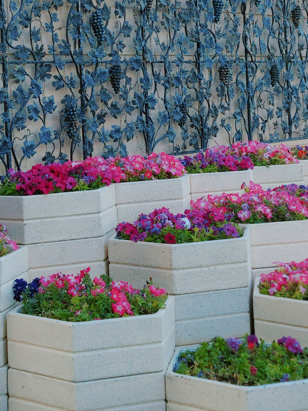 a bunch of planters that have flowers in them