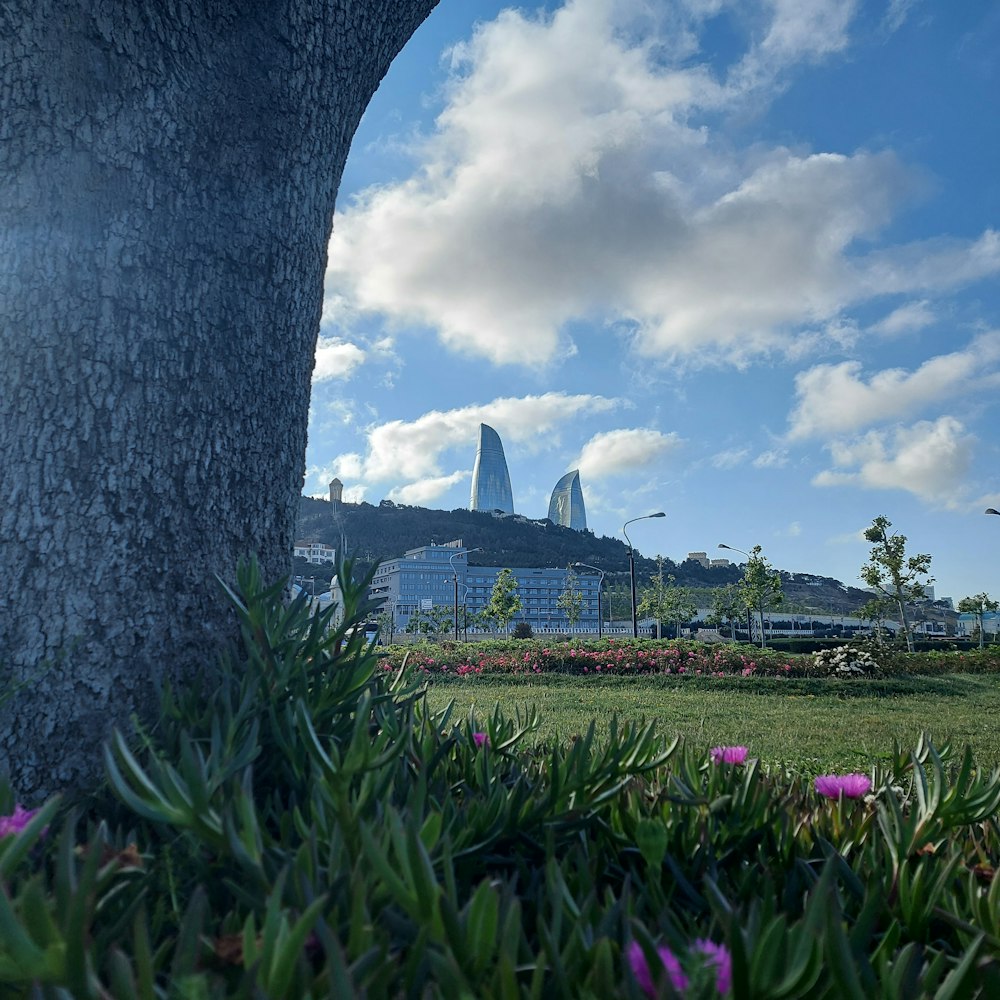 Una vista de una ciudad desde un parque con flores en primer plano