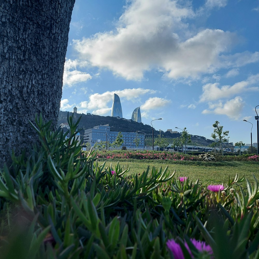 a view of a large building in the distance