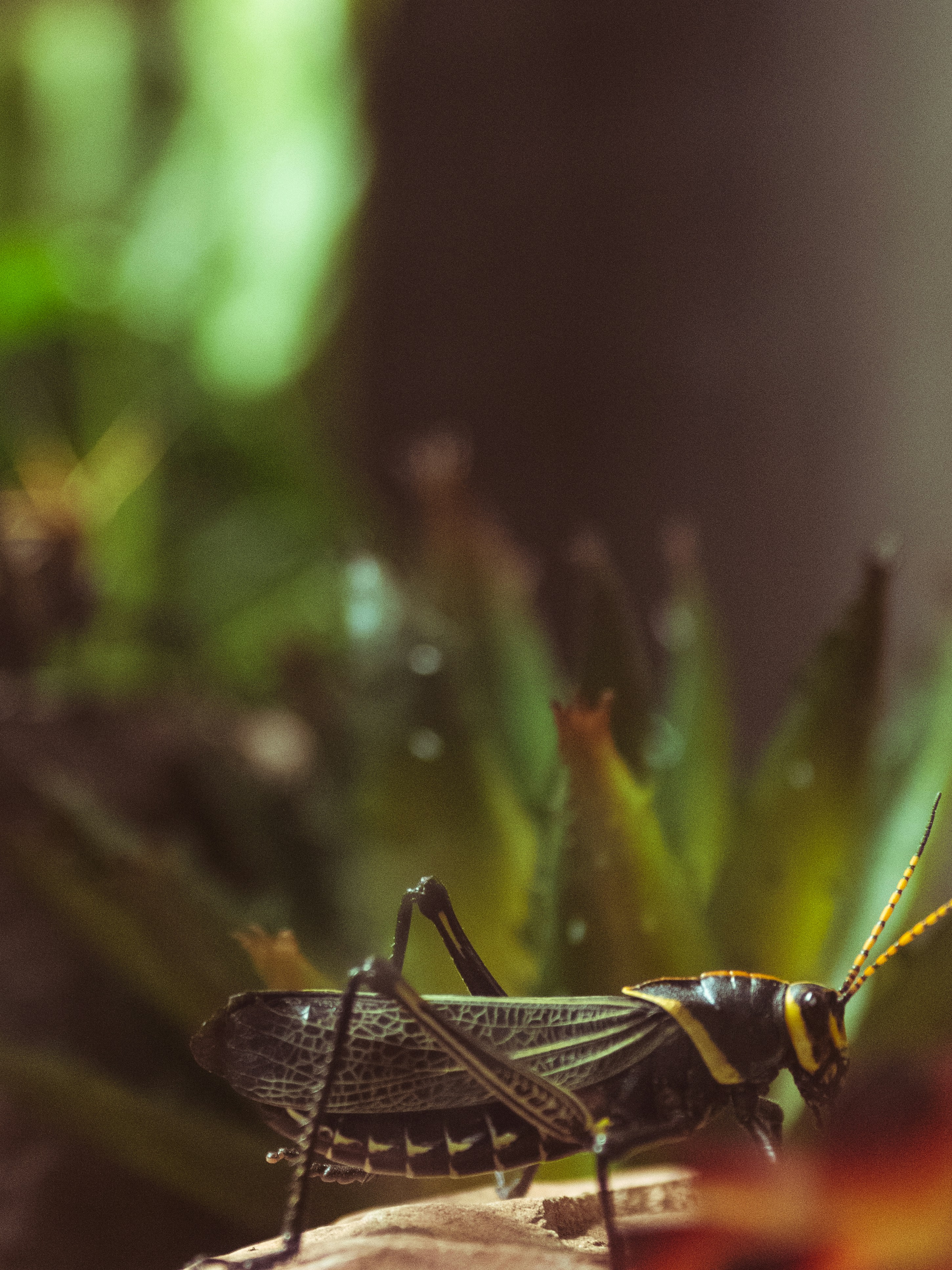 Photo by kierinsightarchives