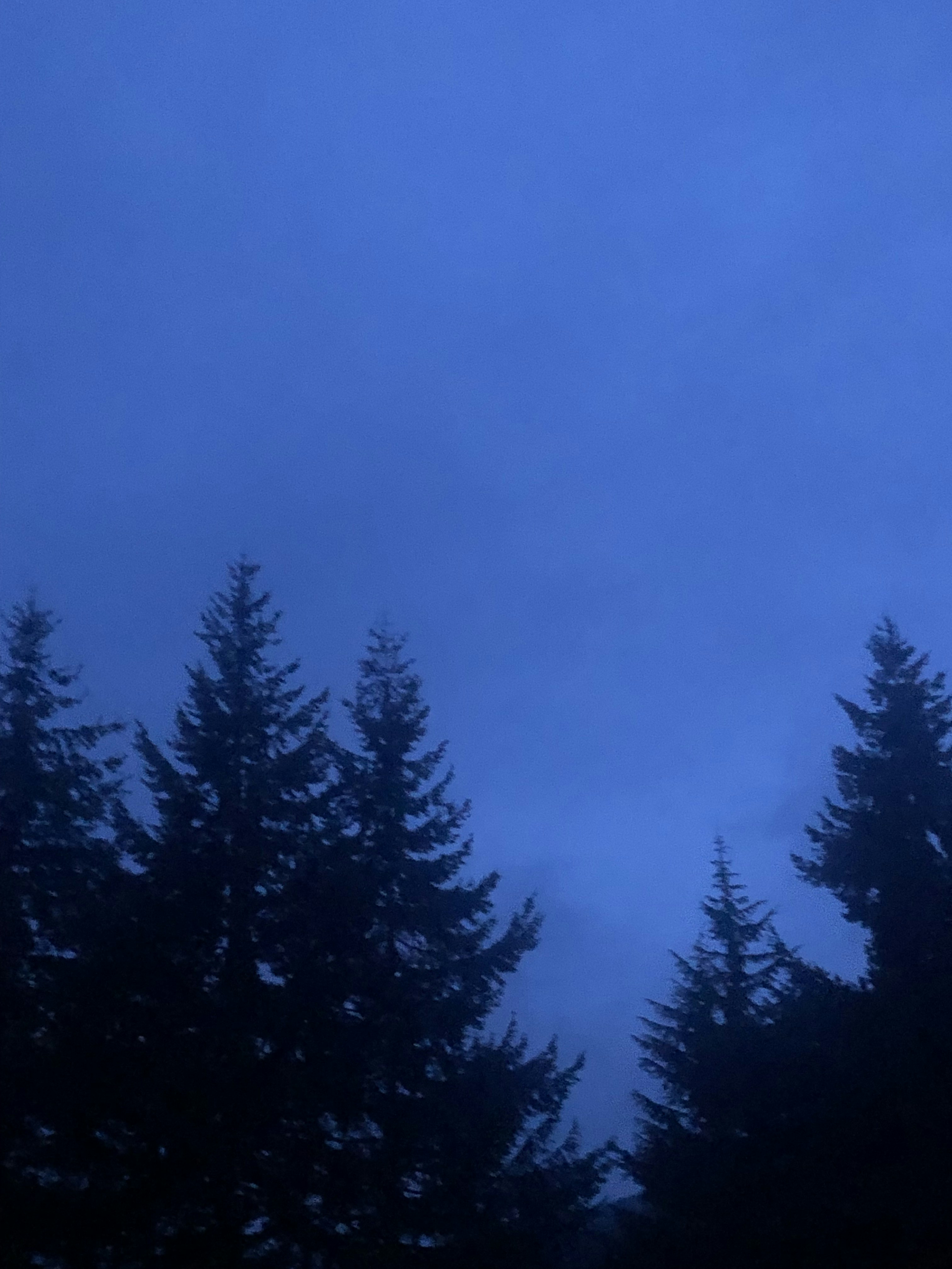 Photo by arianafan123