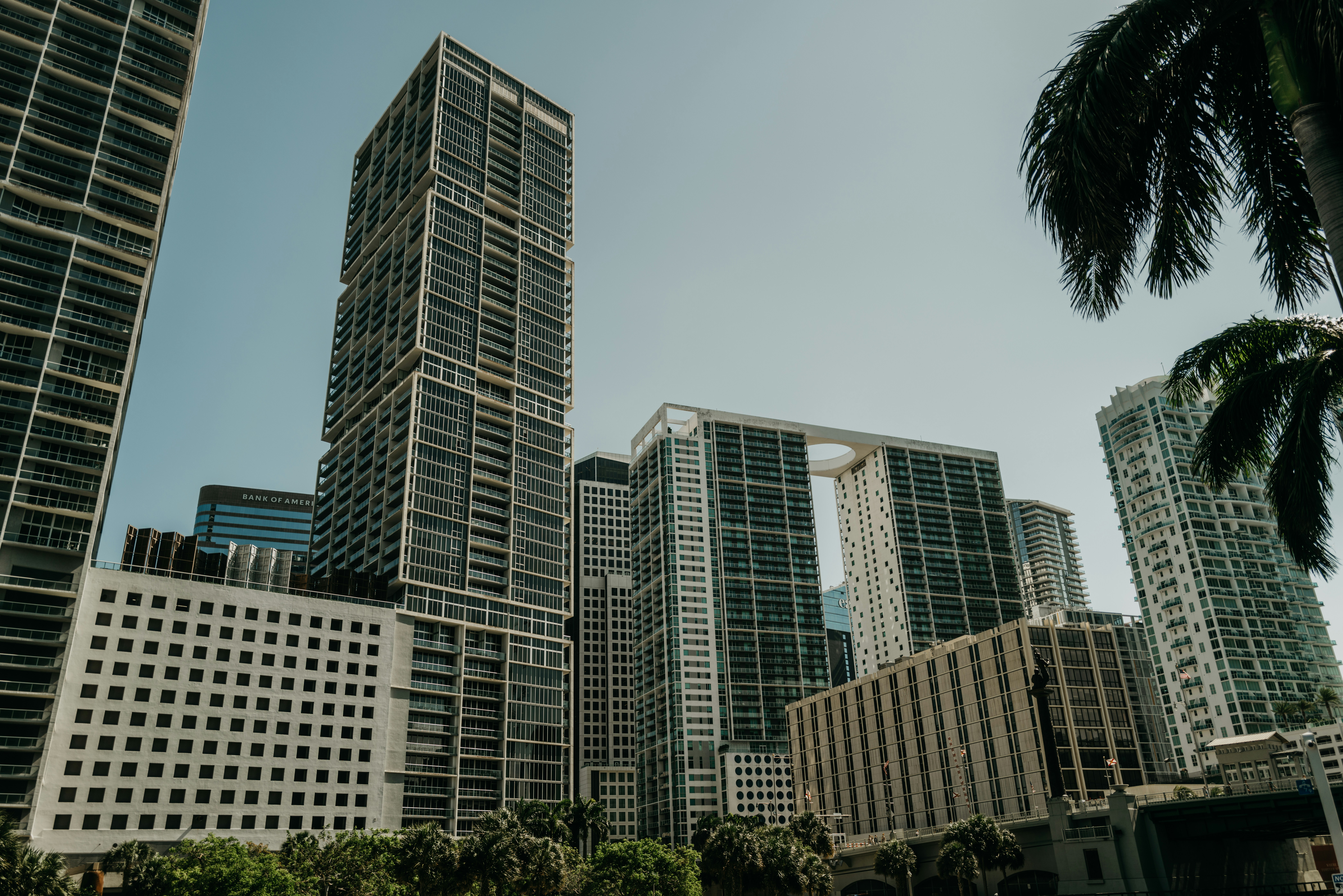 image of a busy Miami business district - Miami CEO reputation repair