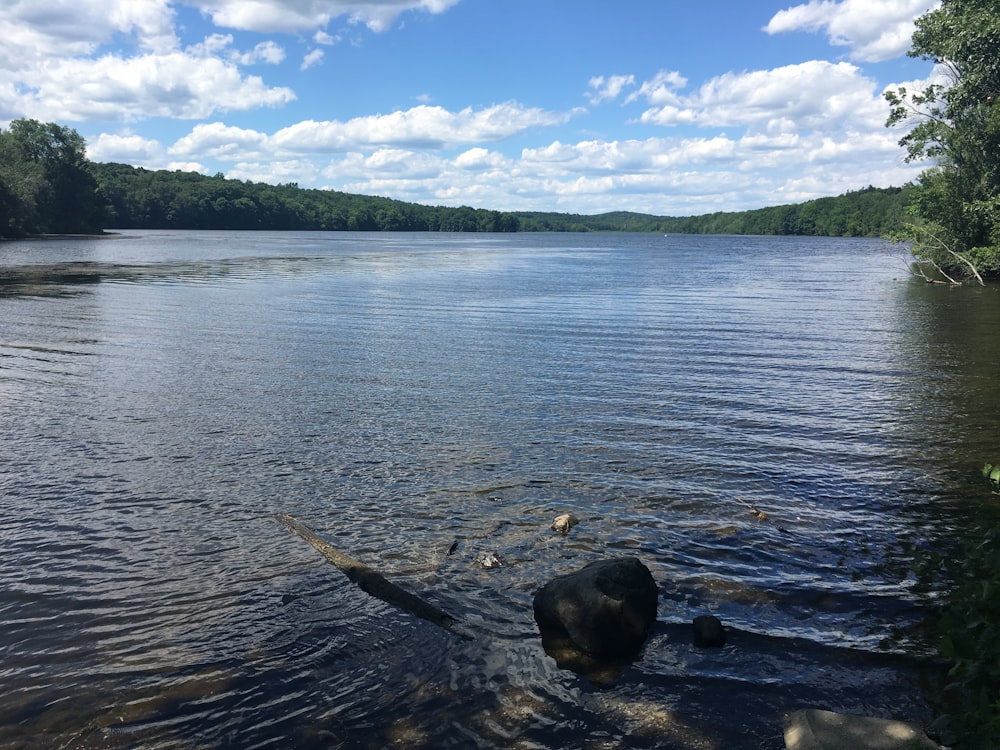 a body of water with a rock in the middle of it