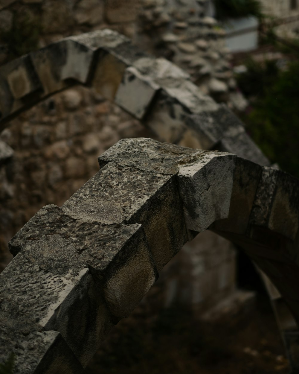 a bird perched on top of a stone wall