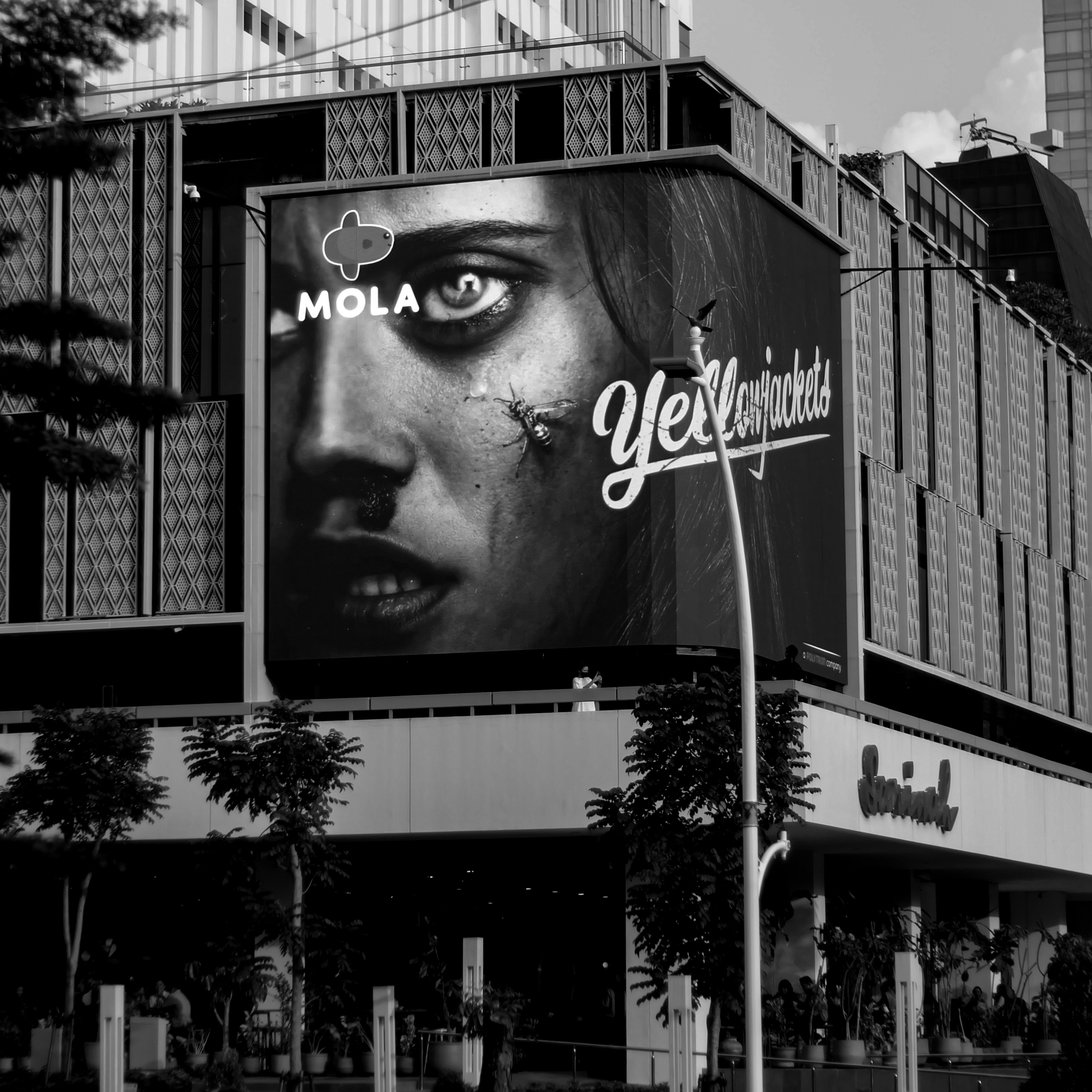 대형 광고판의 흑백 사진