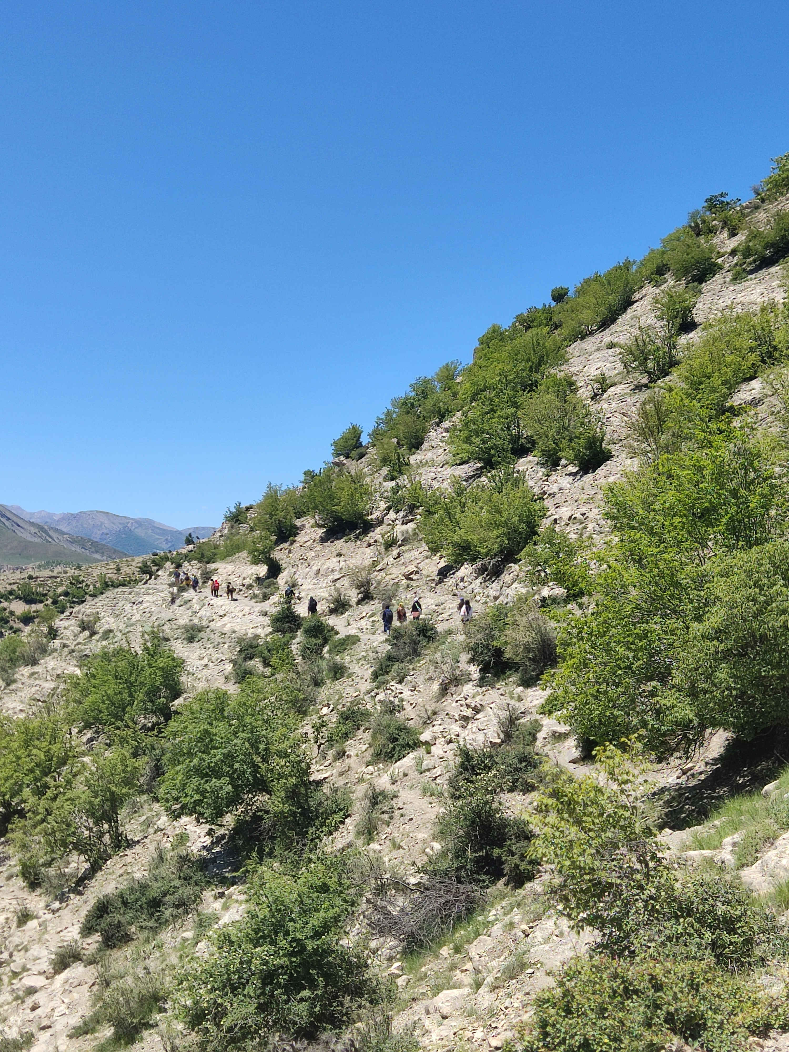 Photo by arezoobakhshi