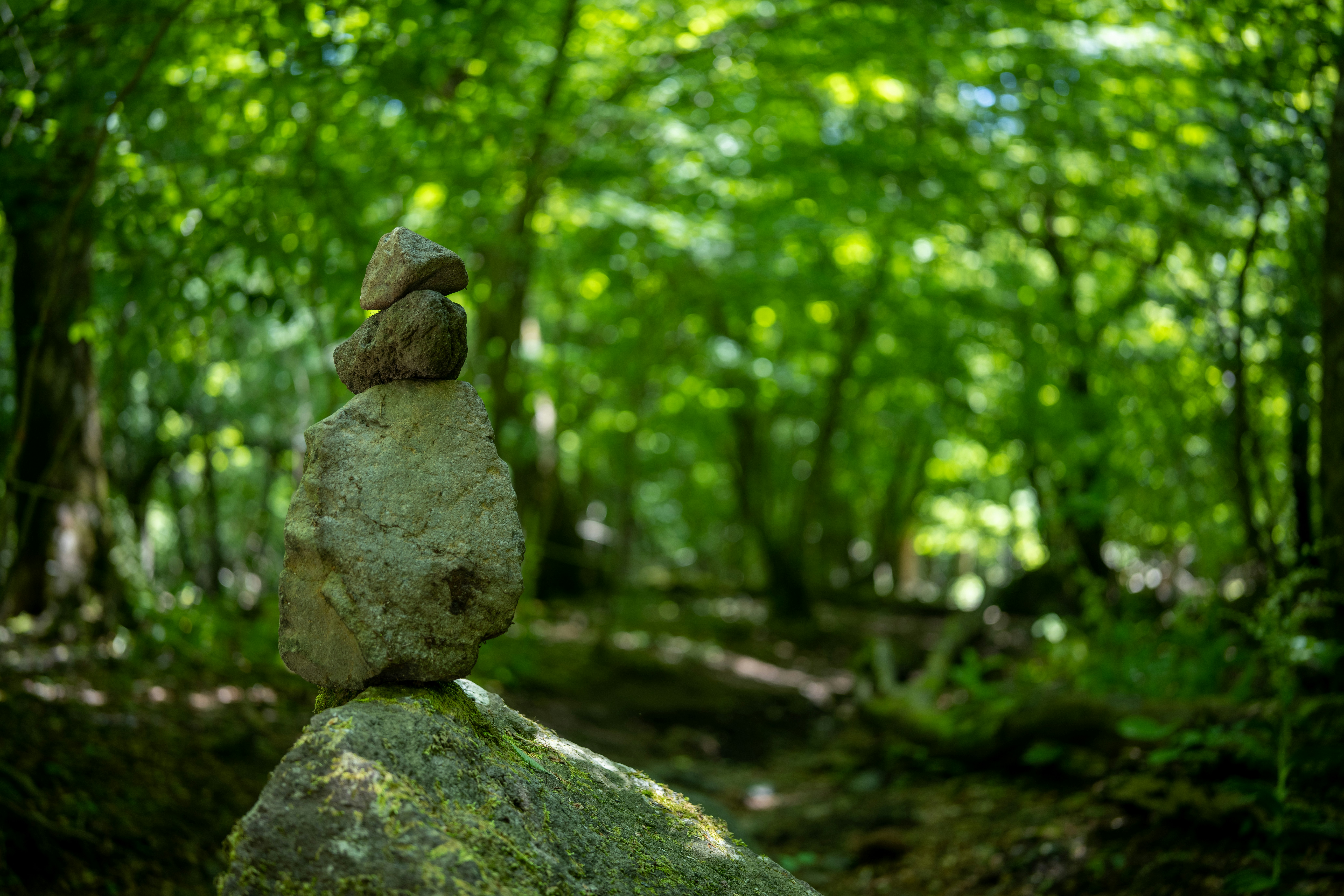 a rock balanced on top of a mossy rock in a forest
