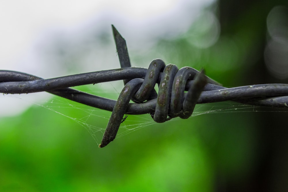 a close up of a barbed wire with a blurry background