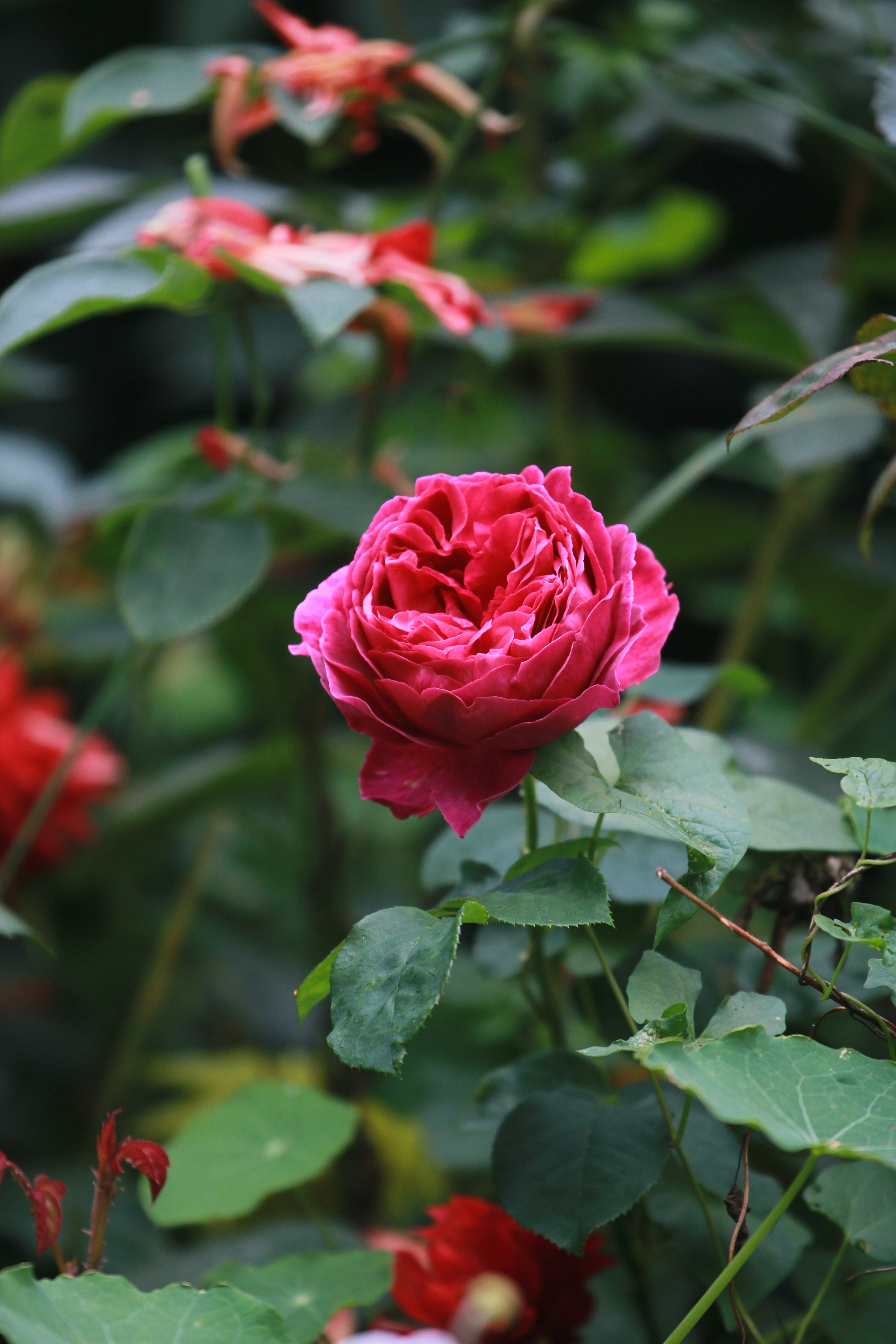 Photo by frontiersman