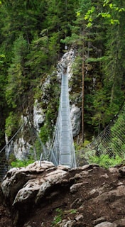 Adventure seekers crossing a wooden suspension bridge with backpacks, framed by tall pine trees