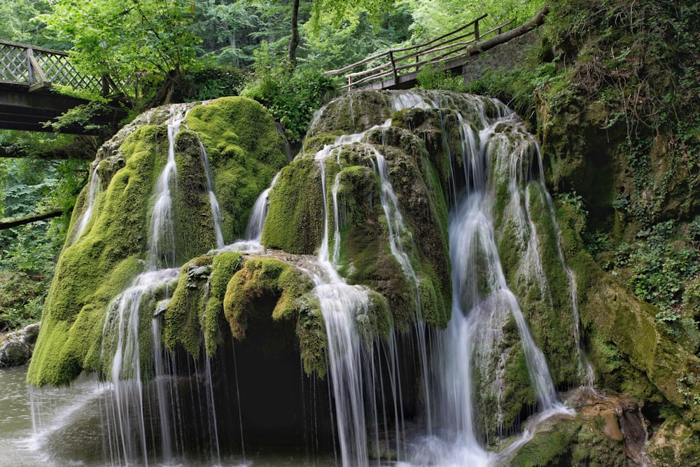 a waterfall with moss growing on it in a forest