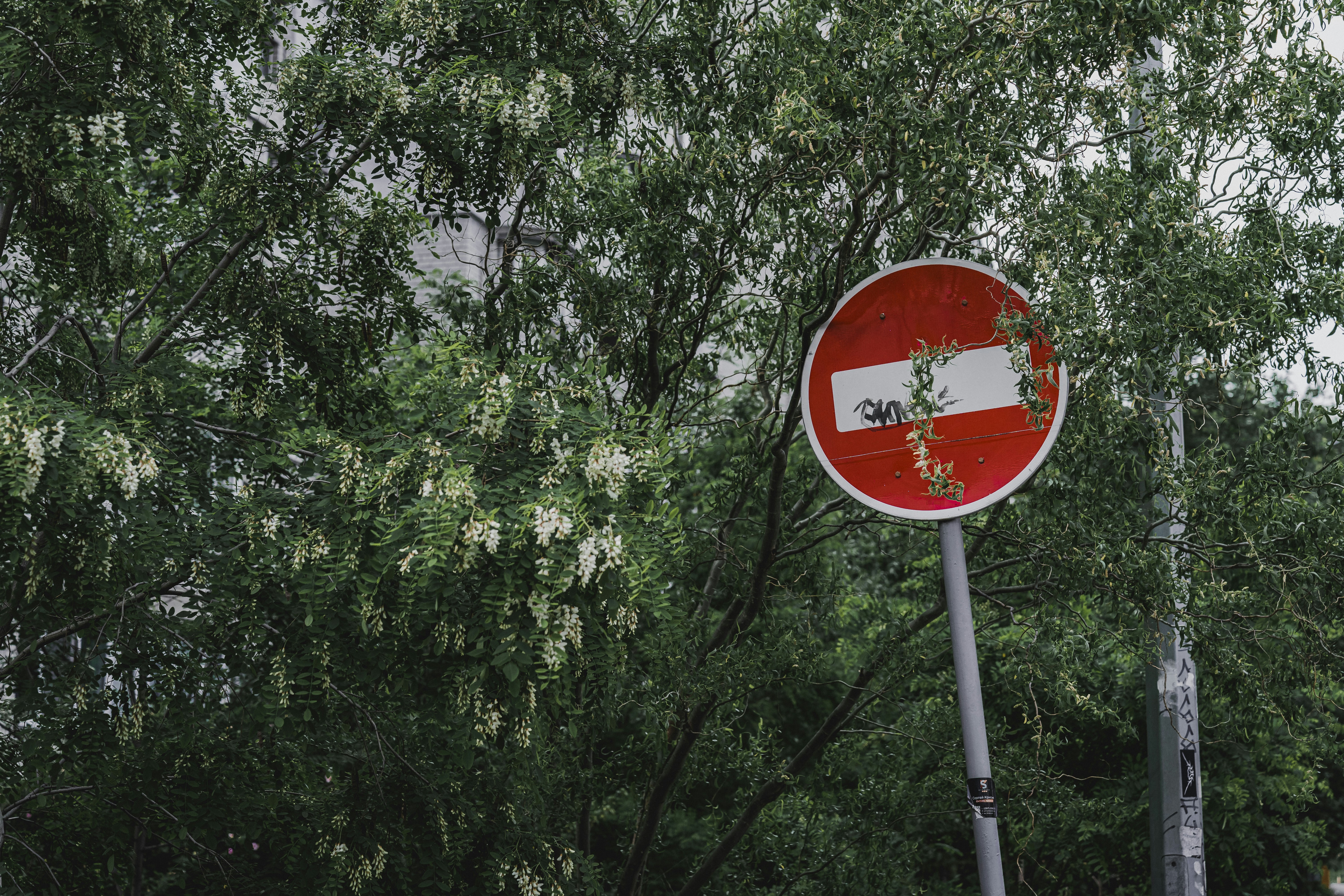 Photo by maksym_tymchyk