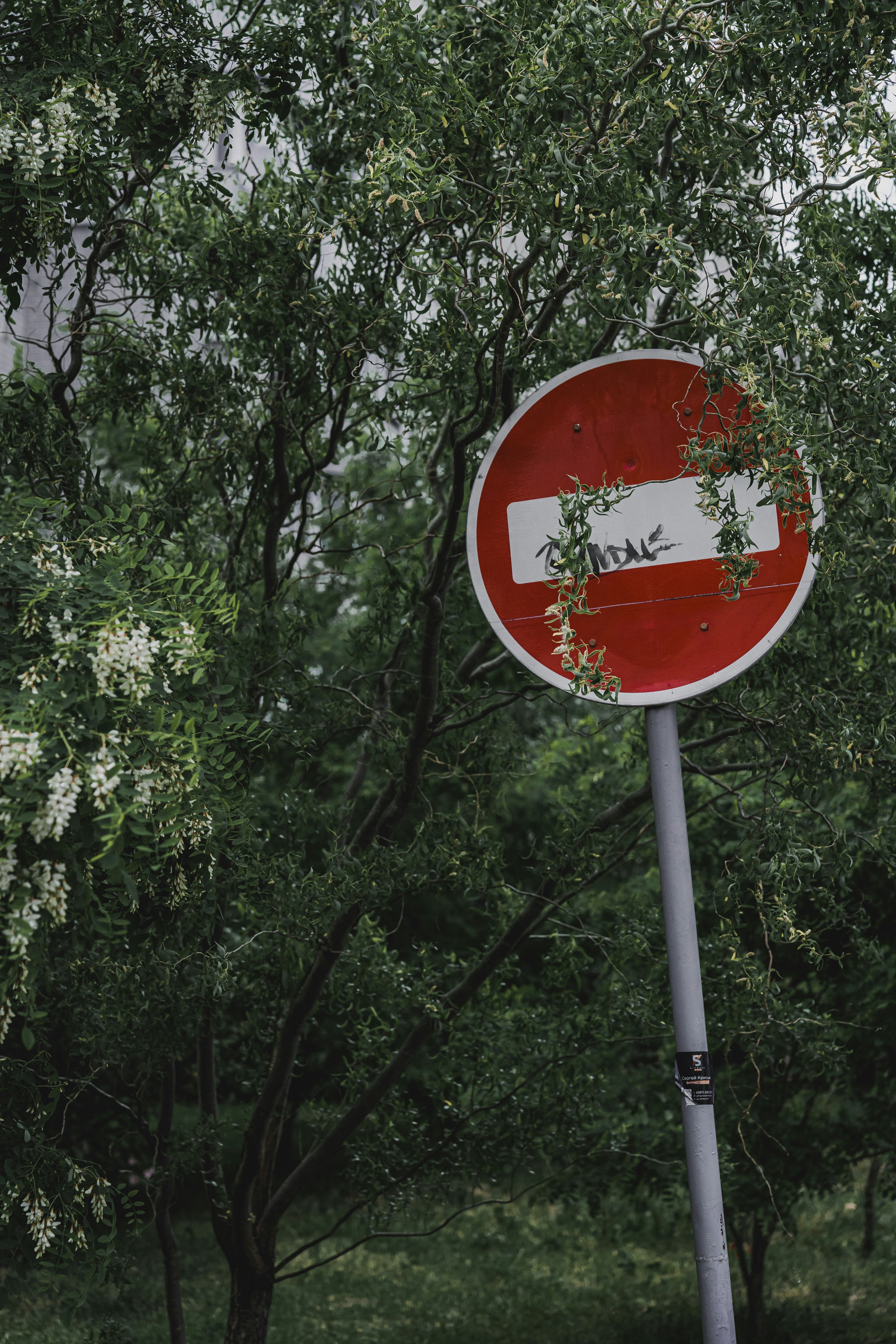 Photo by maksym_tymchyk