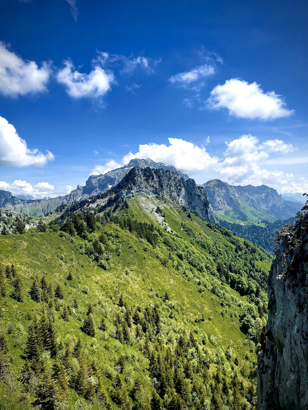 Ein üppiger grüner Hügel mit einem Berg im Hintergrund