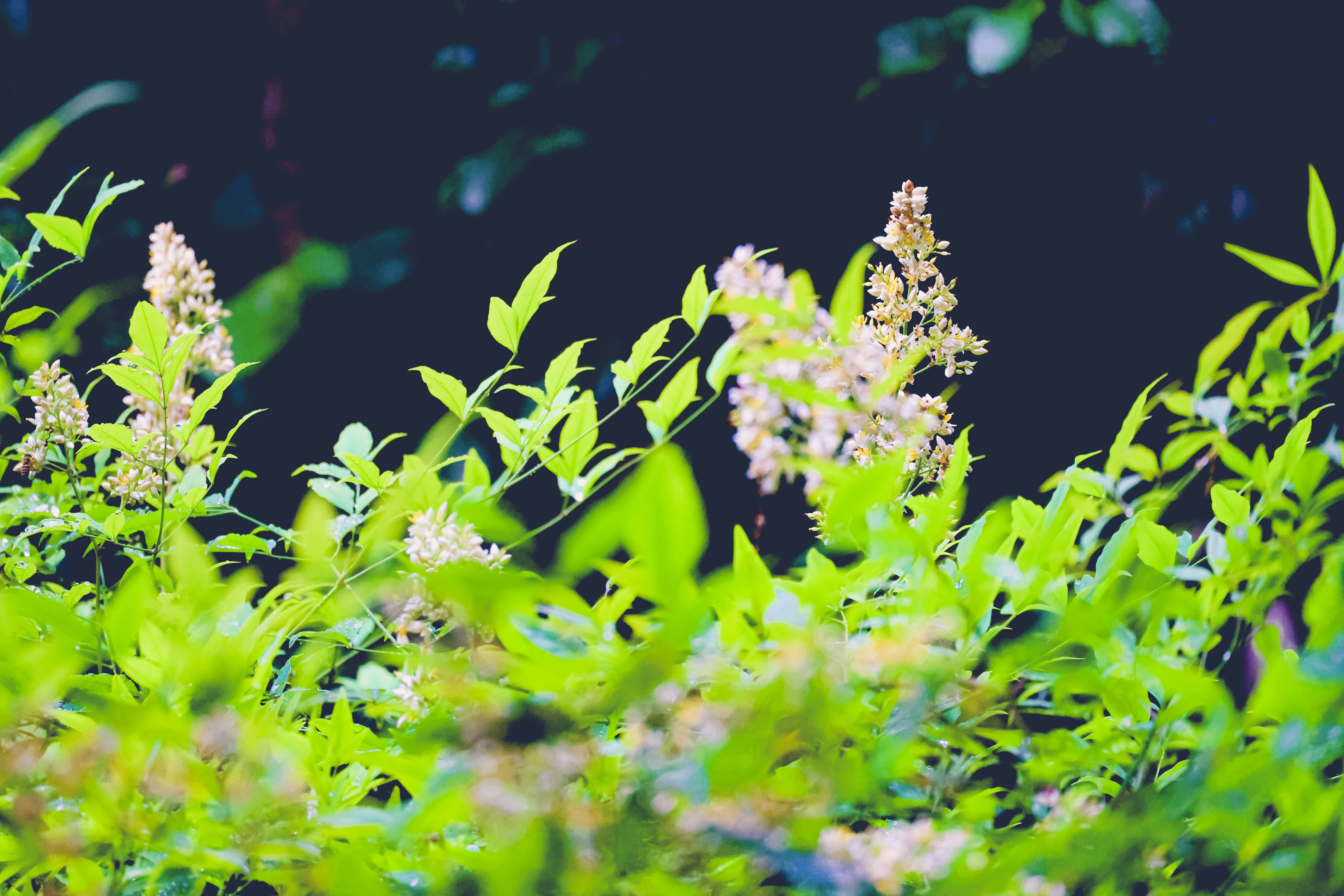 Photo by arttoinspire