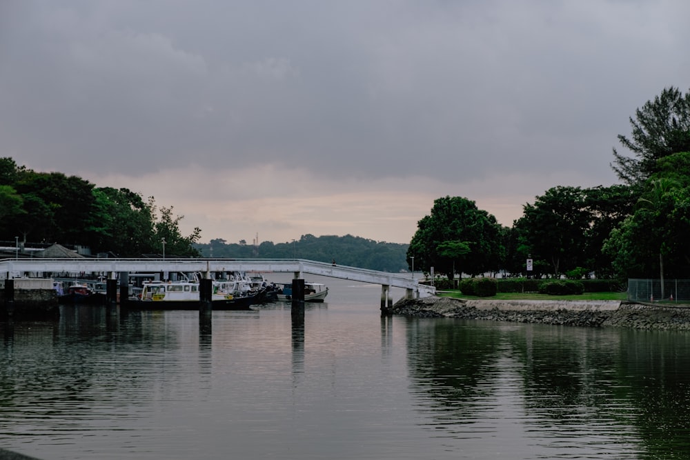 a body of water with a bridge in the background